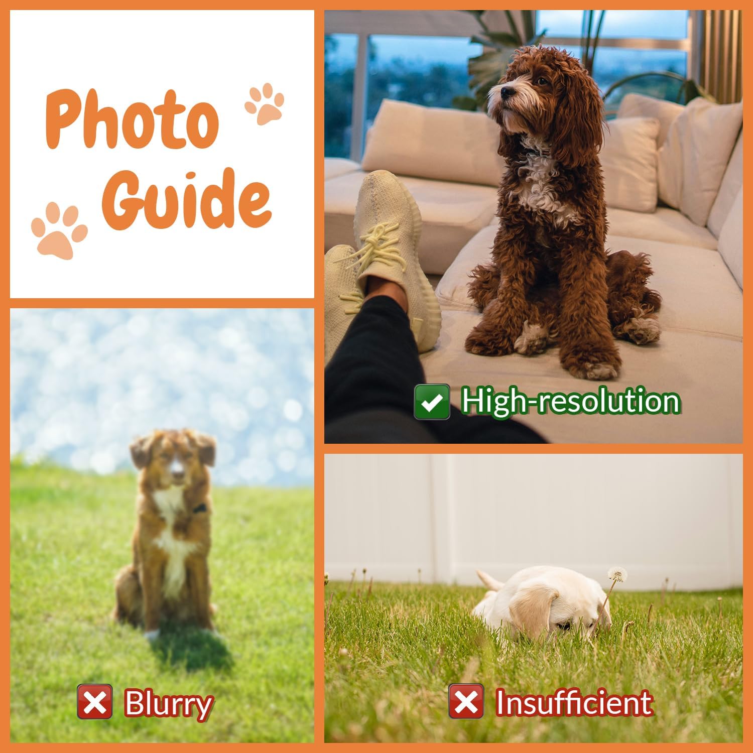 Customised Photo Pet Home Pill - Home Textiles Images recensie en prijs